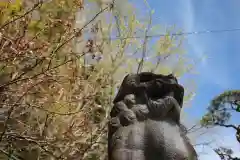 太平山三吉神社総本宮の狛犬