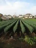 尾崎天神宮(千葉県)