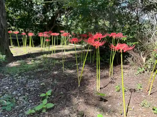 光明寺(長野県)