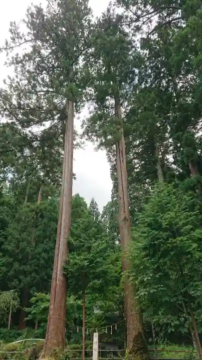 粟鹿神社の自然