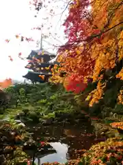 當麻寺(奈良県)