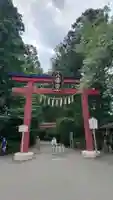 大崎八幡宮の鳥居
