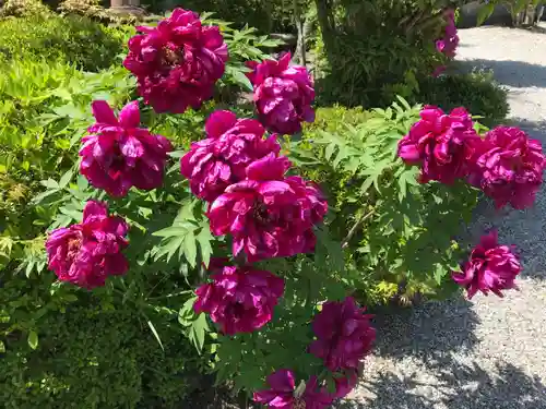 櫟野寺(滋賀県)