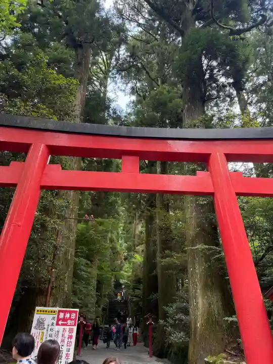 箱根神社(神奈川県)