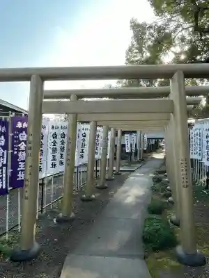 白金龍王社(愛知県)