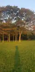 熊野神社(東京都)