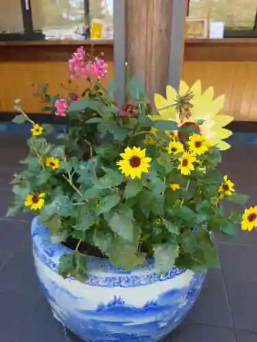 狭山八幡神社(埼玉県)