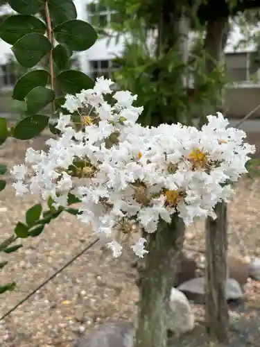 多田幸寺の自然