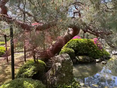 城南宮(京都府)