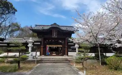 松山神社(愛媛県)