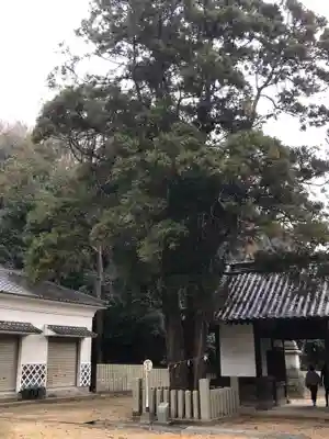 飯神社のその他建物