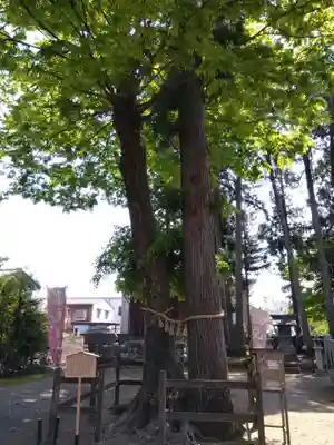 春日神社(福井県)