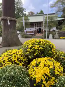 比々多神社の自然(2021年10月20日(水) 17時38分46秒投稿)