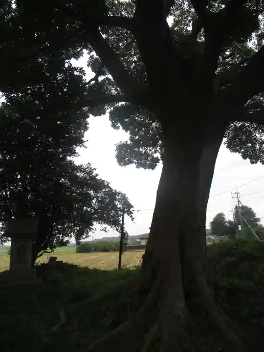裏つくば、恋瀬川沿いの神社(茨城県)