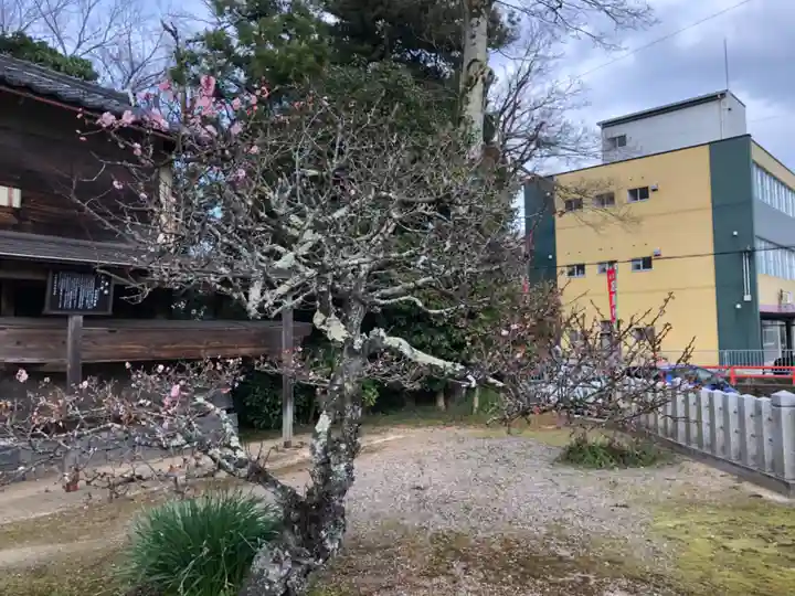 女代神社の自然