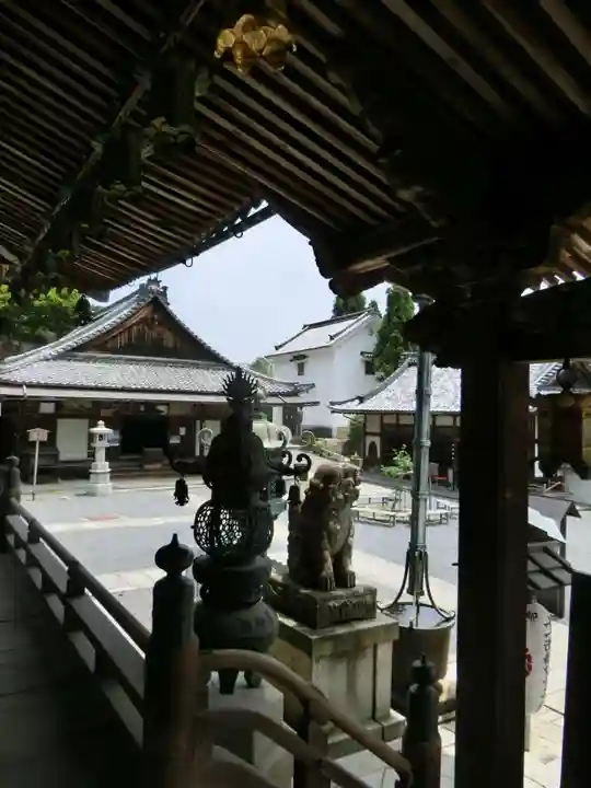 柳谷観音 楊谷寺の狛犬