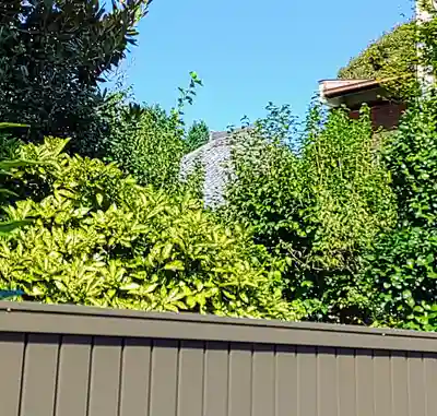 新福寺の本殿・本堂