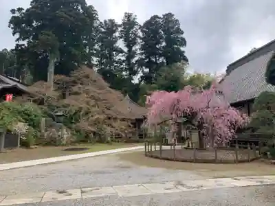 観福寺のその他建物