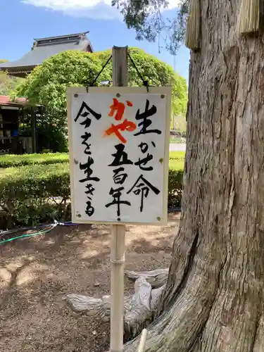 西光寺(神奈川県)