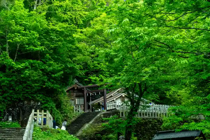 戸隠神社奥社(長野県)