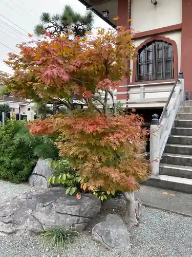 上国寺(神奈川県)