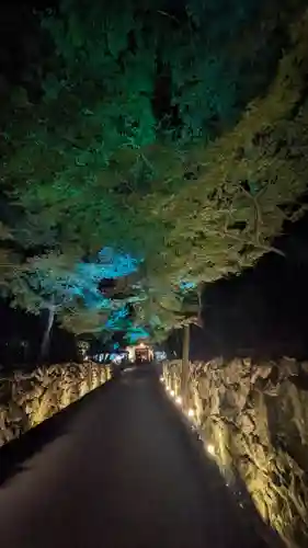 興聖寺（興聖寶林禅寺）のお祭り