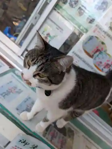 正一位 若草稲荷神社(宮城県)