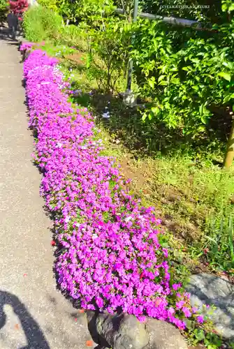 横浜御嶽神社(神奈川県)