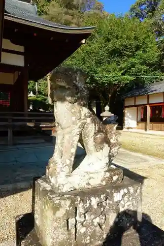 棚倉孫神社の狛犬