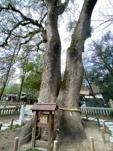 伊弉諾神宮(兵庫県)