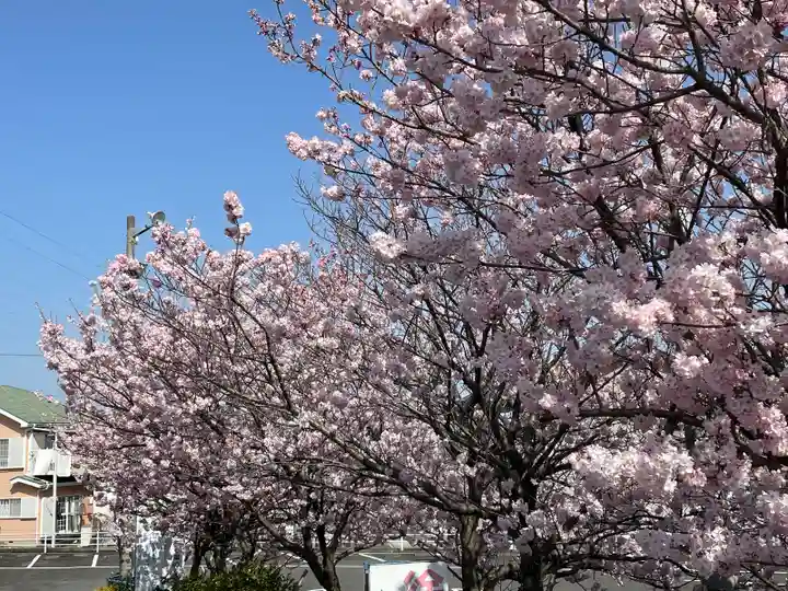 勝福寺(神奈川県)