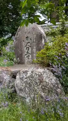 國分寺（国分寺）(京都府)