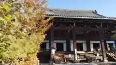 真正極楽寺（真如堂）の本殿