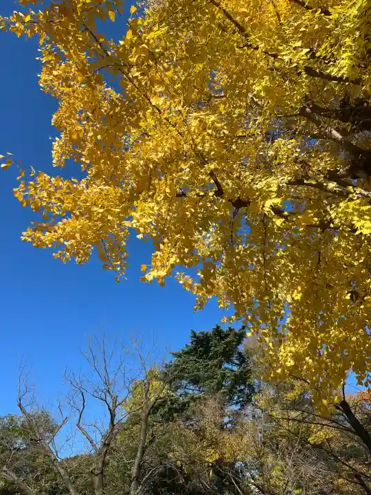 靖國神社(東京都)