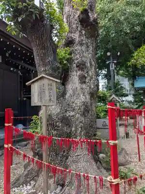 三輪神社(愛知県)