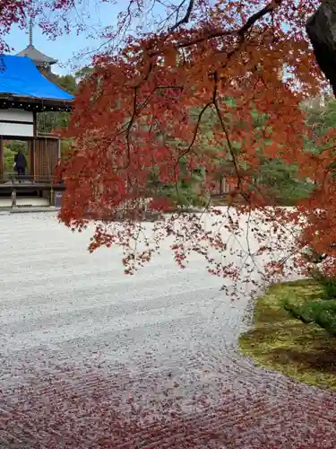 仁和寺の庭園