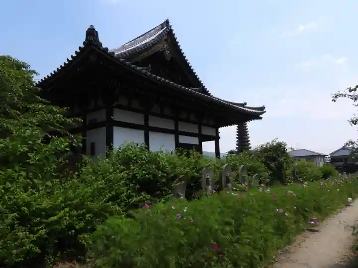 般若寺 ❁コスモス寺❁(奈良県)