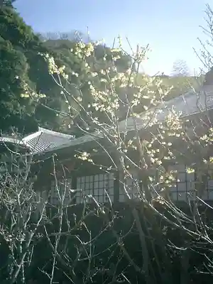 瑞泉寺のその他建物