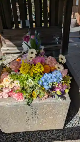 勝林寺(京都府)