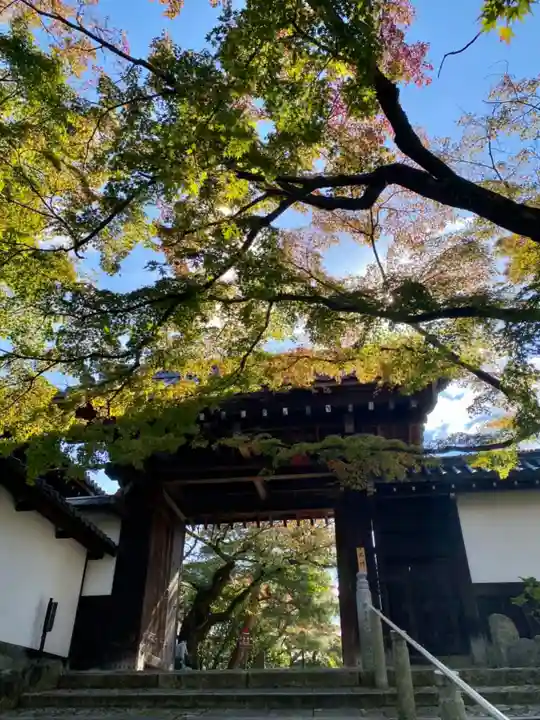 知恩院の山門・神門
