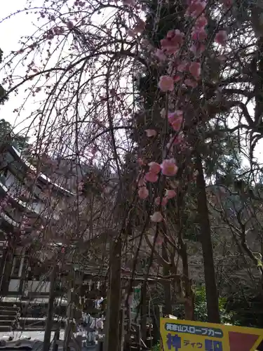 英彦山神宮(福岡県)