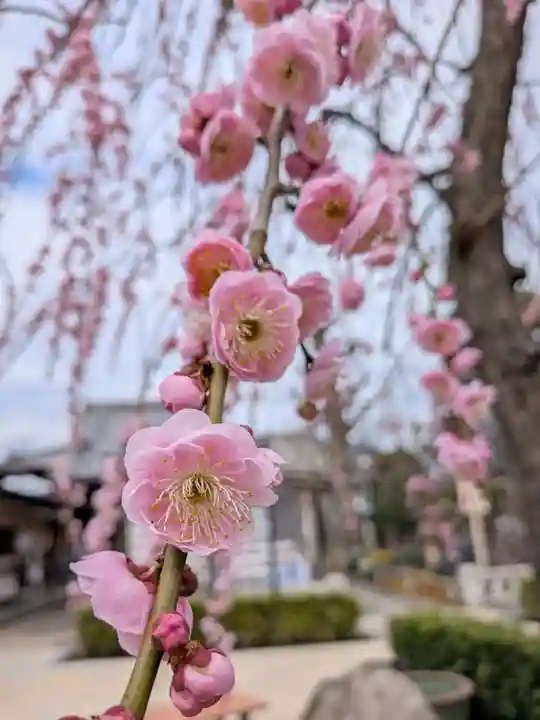 常性寺(東京都)