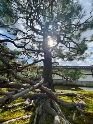 久昌院(京都府)