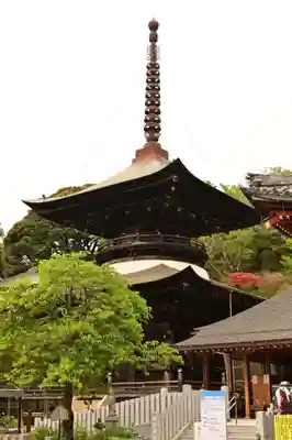 楽法寺（雨引観音）(茨城県)