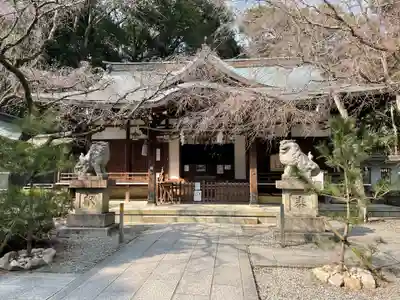 保久良神社の本殿・本堂