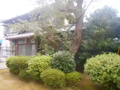 龍本寺のその他建物