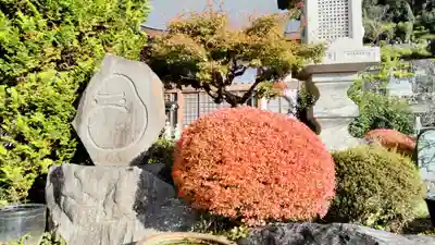 野坂寺(埼玉県)