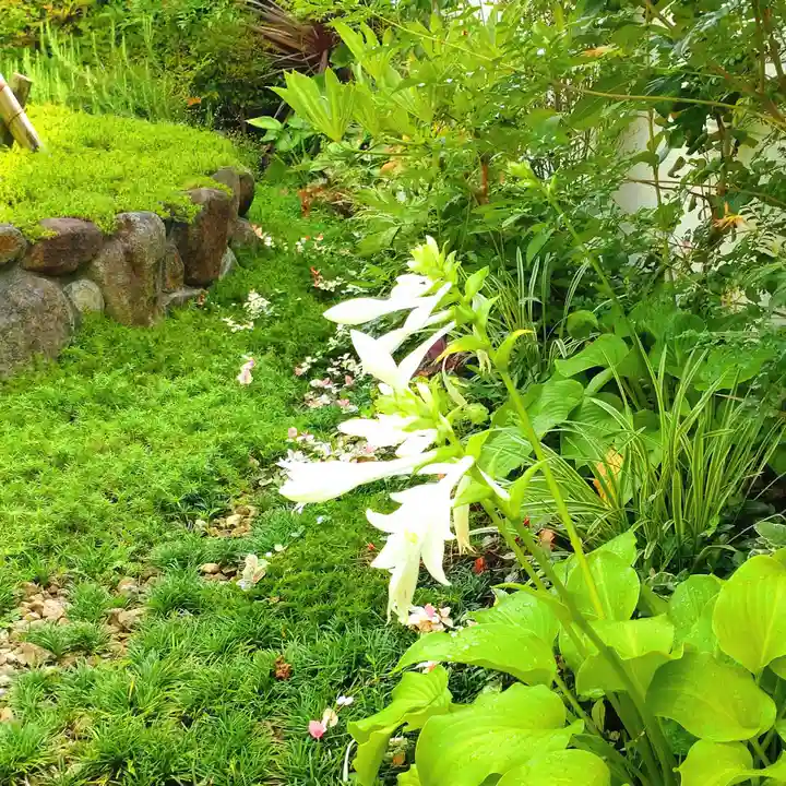 寿量山 速成寺の自然