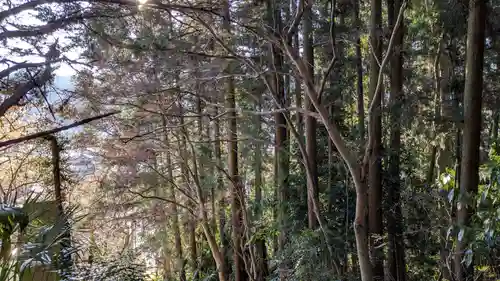 摩利支天堂の自然