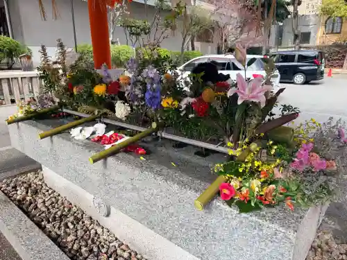 生田神社の{uncategorized: "未分類", other: "その他", undefined: "問題あり", building: "その他建物", grave: "お墓", sacred_gate: "鳥居", guardian: "狛犬", statue: "像", buddha: "仏像", history: "歴史", nature: "自然", garden: "庭園", animal: "動物", pagoda: "塔", temizu: "手水舎", mountain_gate: "山門・神門", sanctuary: "本殿・本堂", subordinate: "末社・摂社", art: "芸術", scenery: "景色", jizo: "地蔵", ema: "絵馬", goshuin: "御朱印", omikuji: "おみくじ", items: "授与品その他", amulet: "お守り", goshuincho: "御朱印帳", eats: "食事", festival: "お祭り", votive_dance: "神楽", shichigosan: "七五三参", wedding: "結婚式", experience: "体験その他", initially: "初詣", around: "周辺", anti_infection: "感染症対策"}